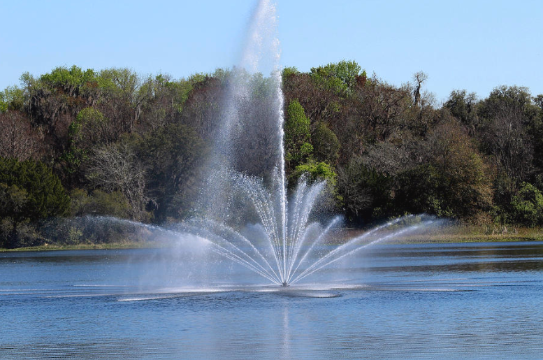 Fountain on a Lake Photograph