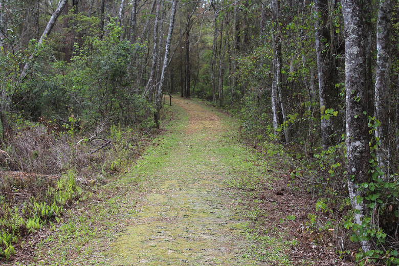 Heading Down the Trail Photograph