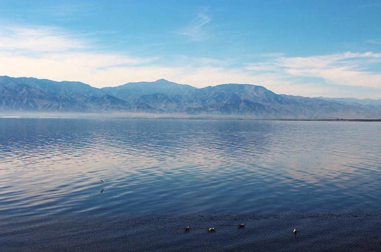 Salton Sea Photograph