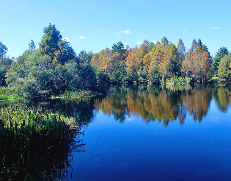 South Lake Howard Photograph