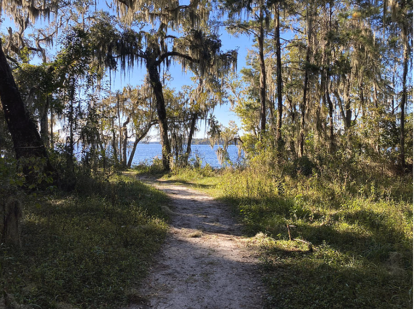 Trail By the River Photograph