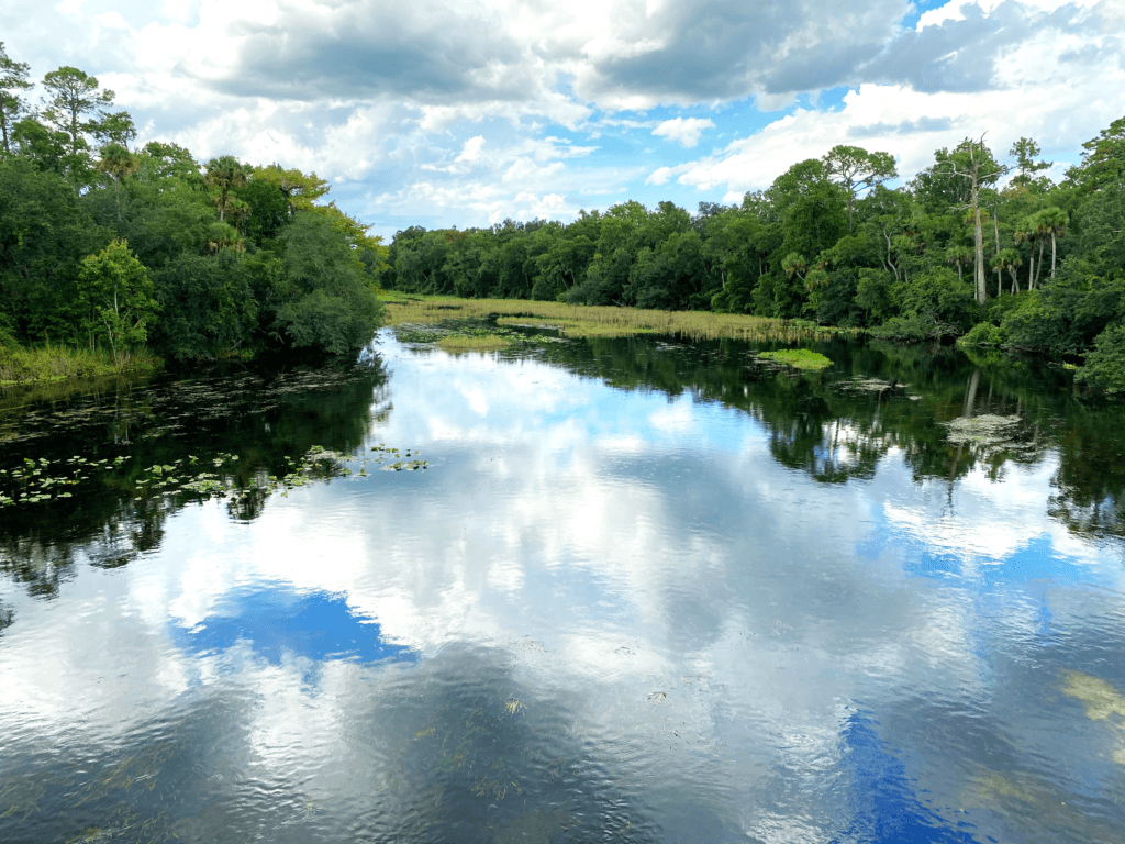 Alexander Spring Creek