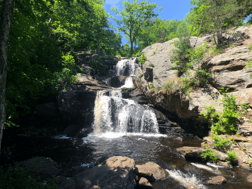 Chapman Falls