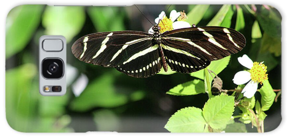 Zebra Longwing Butterfly Galaxy Phone Case