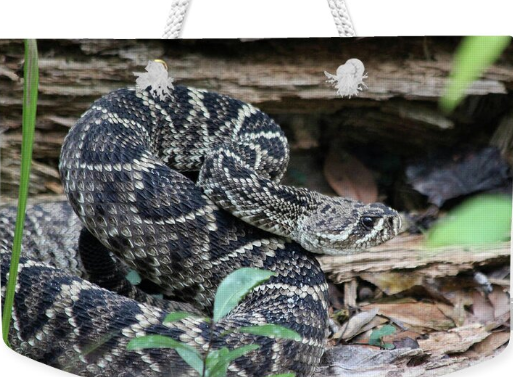 Rattlesnake Weekender Tote Bag