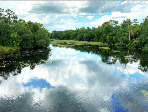 Alexander Spring Creek 