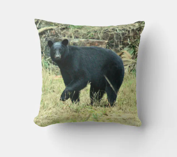 Florida Black Bear Throw Pillow