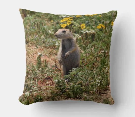 Throw Pillows