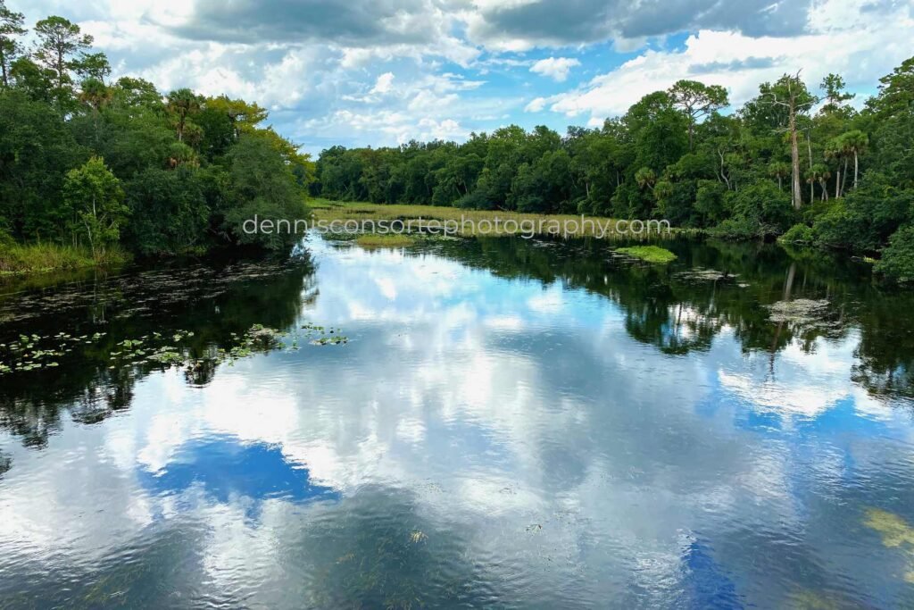 Photo of Alexander Springs Creek