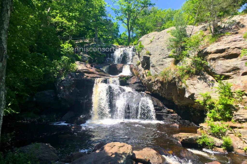Photo of Chapman Falls