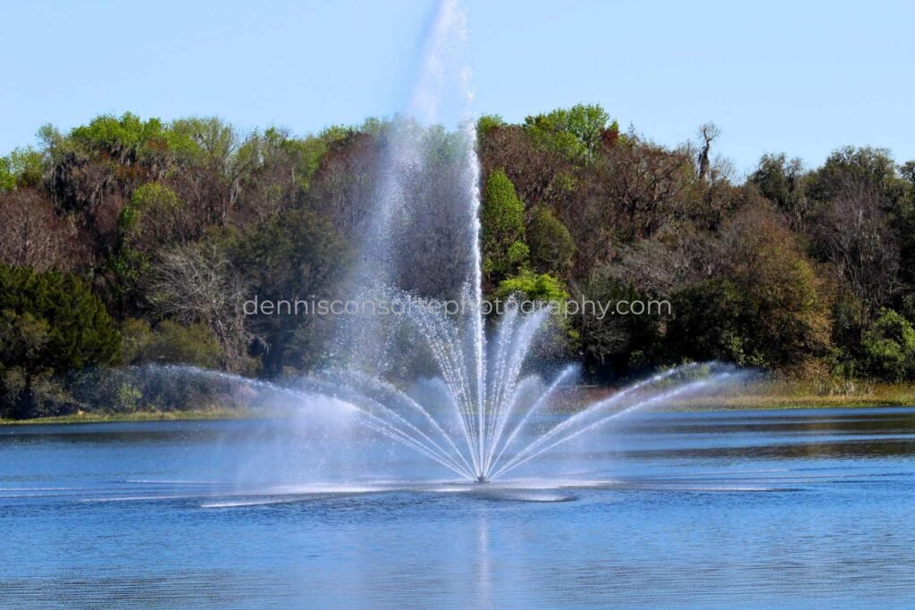 Photo of Fountain on a Pond