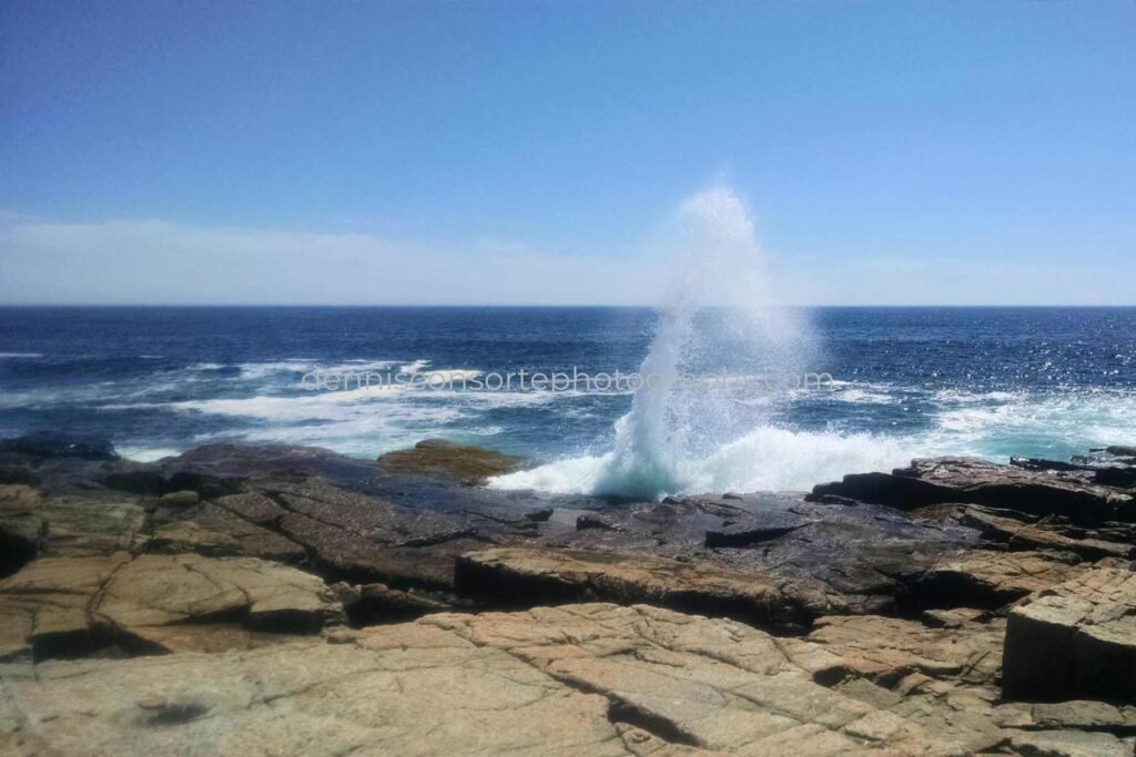 Photo of Schoodic Point