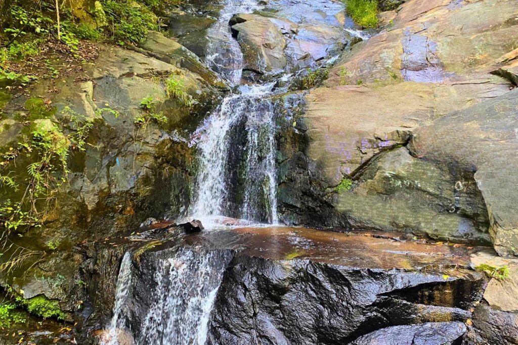 Photo of Silvervale Falls