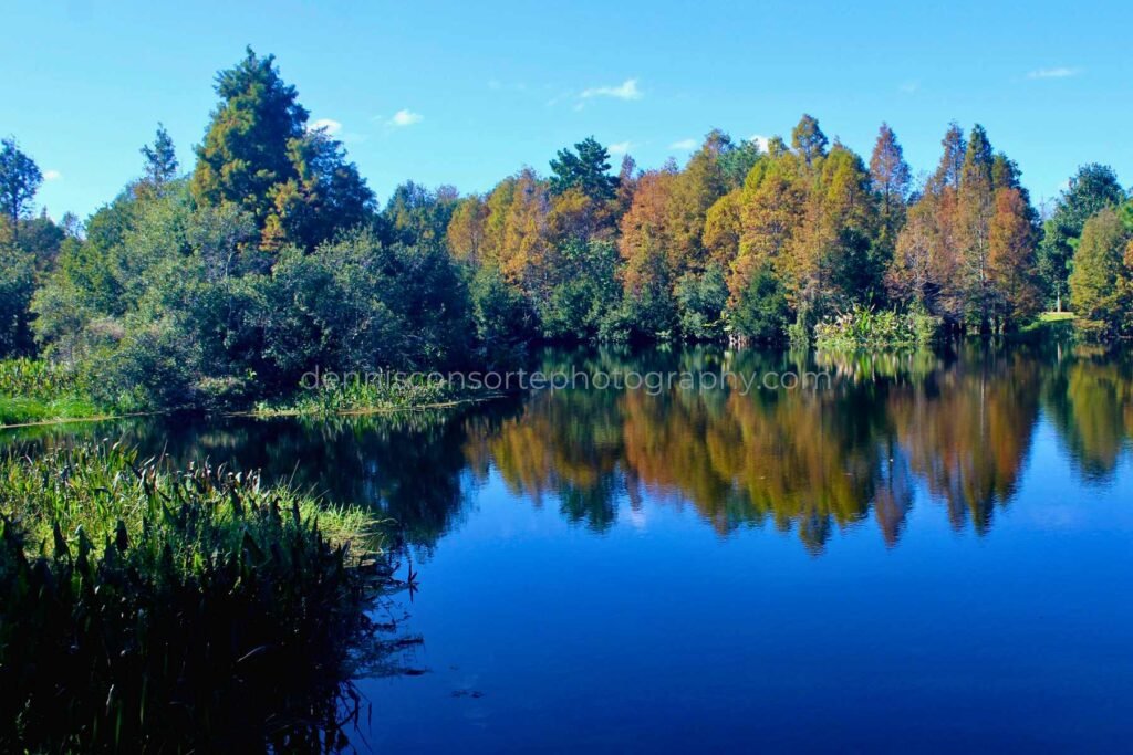 Photo of South Lake Howard