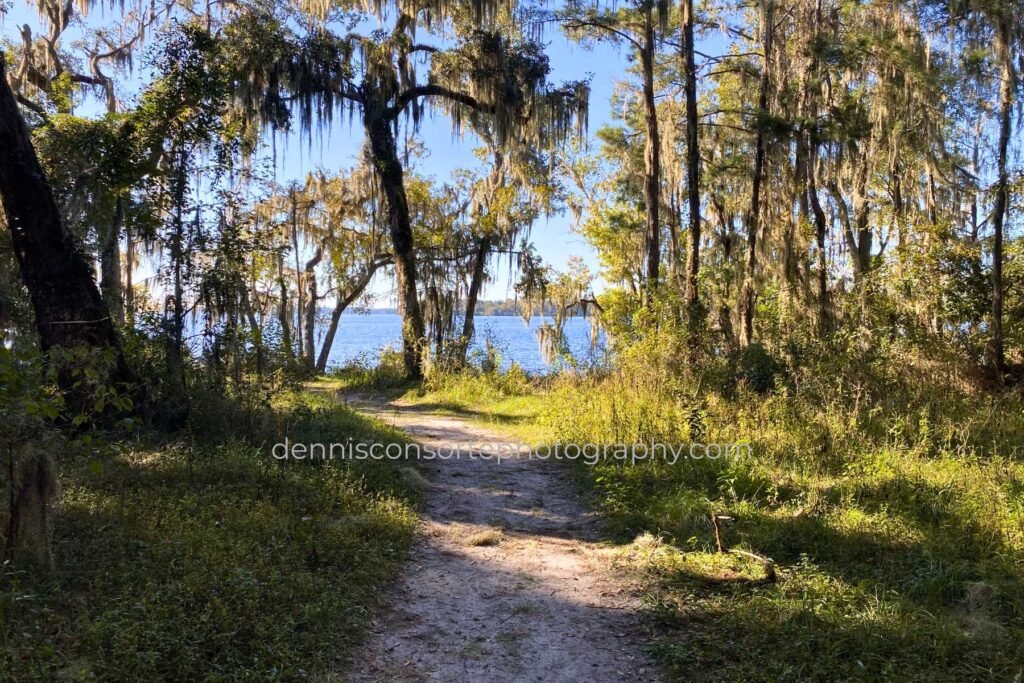 Photo of Trail By The River